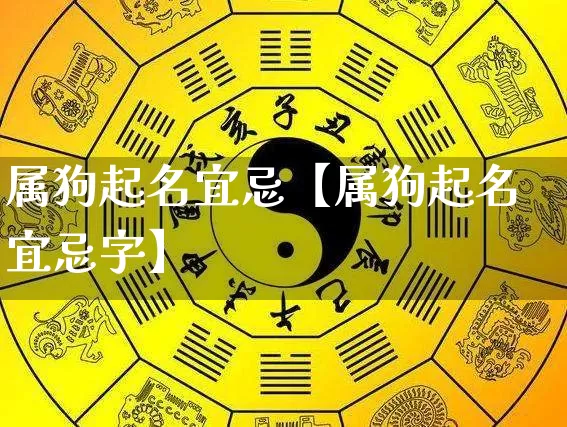 属狗起名宜忌【属狗起名宜忌字】_https://www.dao-sheng-yuan.com_起名_第1张