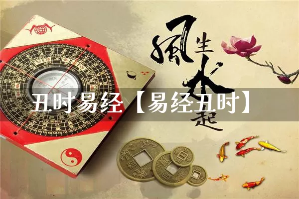 丑时易经【易经丑时】_https://www.dao-sheng-yuan.com_易经_第1张