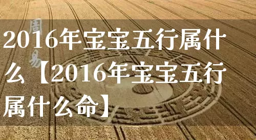 2016年宝宝五行属什么【2016年宝宝五行属什么命】_https://www.dao-sheng-yuan.com_五行_第1张