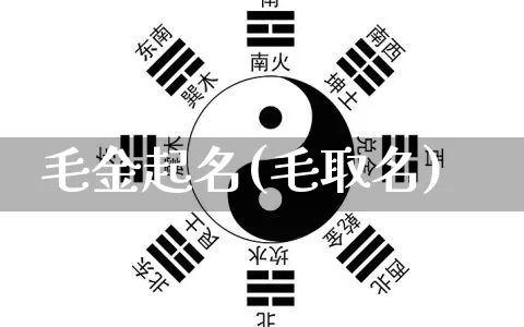 毛金起名(毛取名)_https://www.dao-sheng-yuan.com_起名_第1张