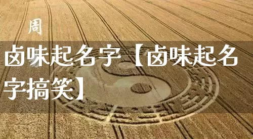 卤味起名字【卤味起名字搞笑】_https://www.dao-sheng-yuan.com_起名_第1张