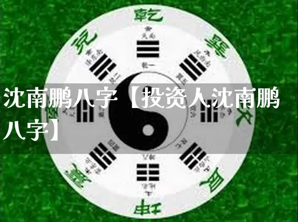 沈南鹏八字【投资人沈南鹏八字】_https://www.dao-sheng-yuan.com_八字_第1张