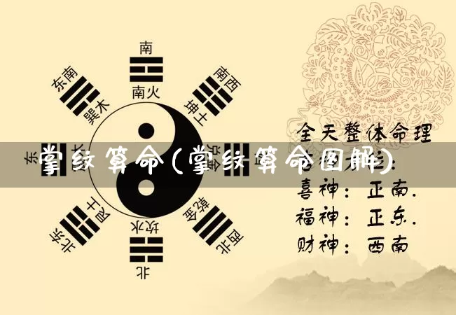 掌纹算命(掌纹算命图解)_https://www.dao-sheng-yuan.com_算命_第1张