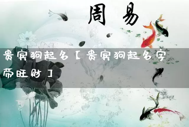 贵宾狗起名【贵宾狗起名字带旺财】_https://www.dao-sheng-yuan.com_起名_第1张