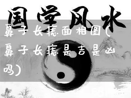 鼻子长痣面相图(鼻子长痣是吉是凶吗)_https://www.dao-sheng-yuan.com_十二星座_第1张