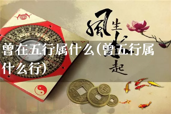 曾在五行属什么(曾五行属什么行)_https://www.dao-sheng-yuan.com_五行_第1张