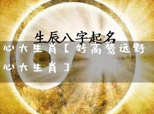 心大生肖【好高骛远野心大生肖】_https://www.dao-sheng-yuan.com_生肖属相_第1张