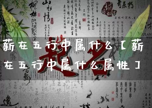 薪在五行中属什么【薪在五行中属什么属性】_https://www.dao-sheng-yuan.com_五行_第1张